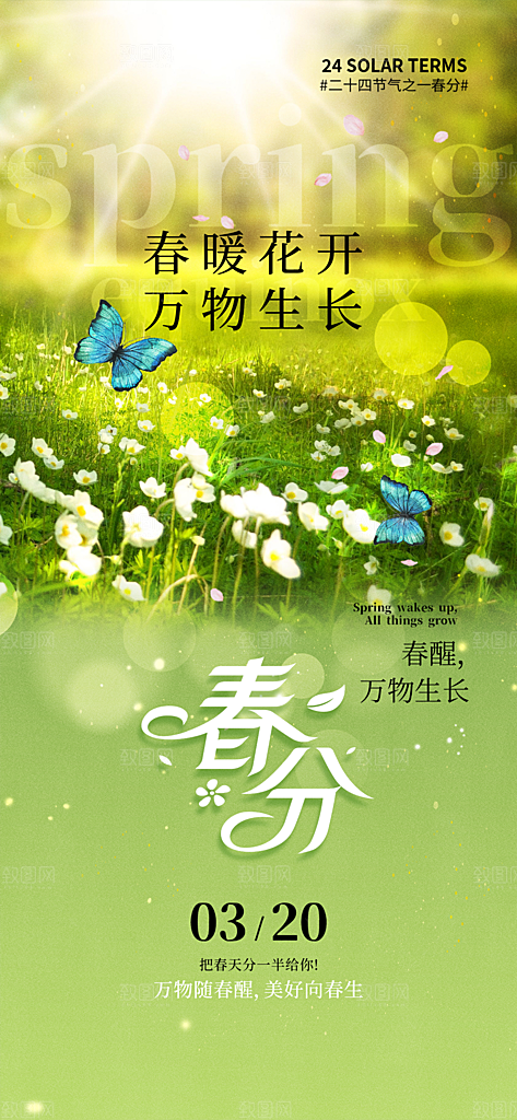春分节气简约大气海报