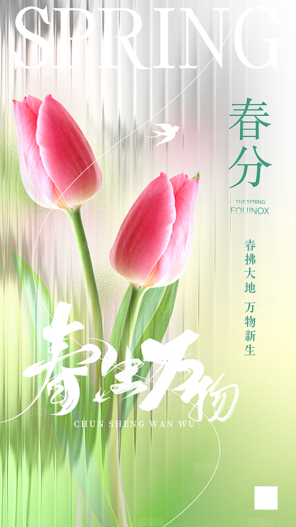 春分节气简约大气海报