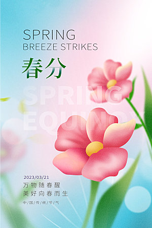 春分节气简约大气海报