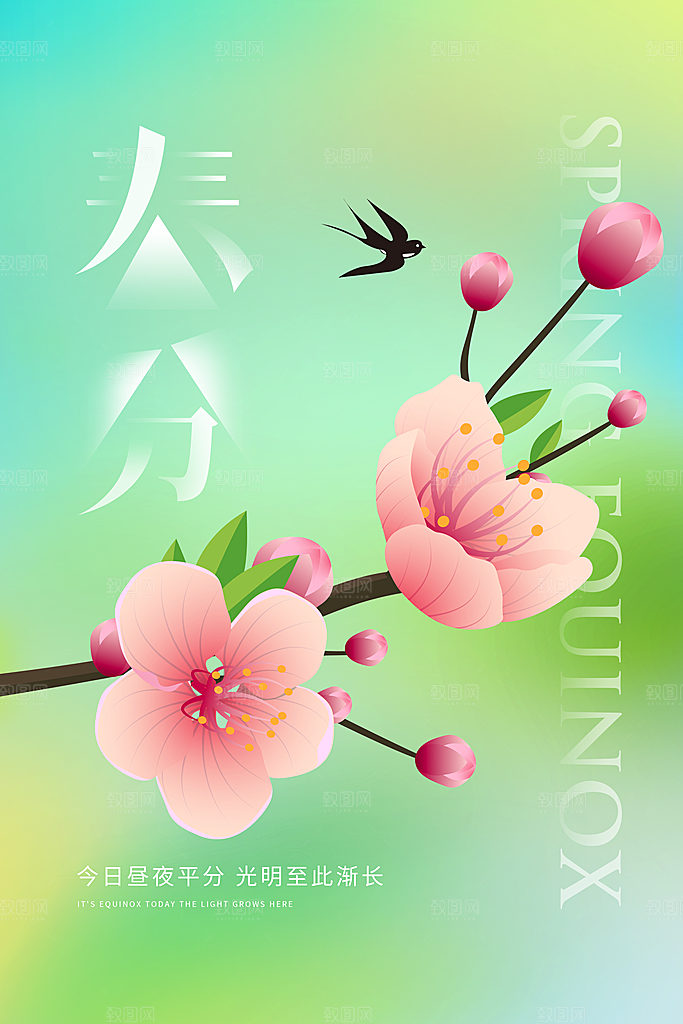 春分节气简约大气海报