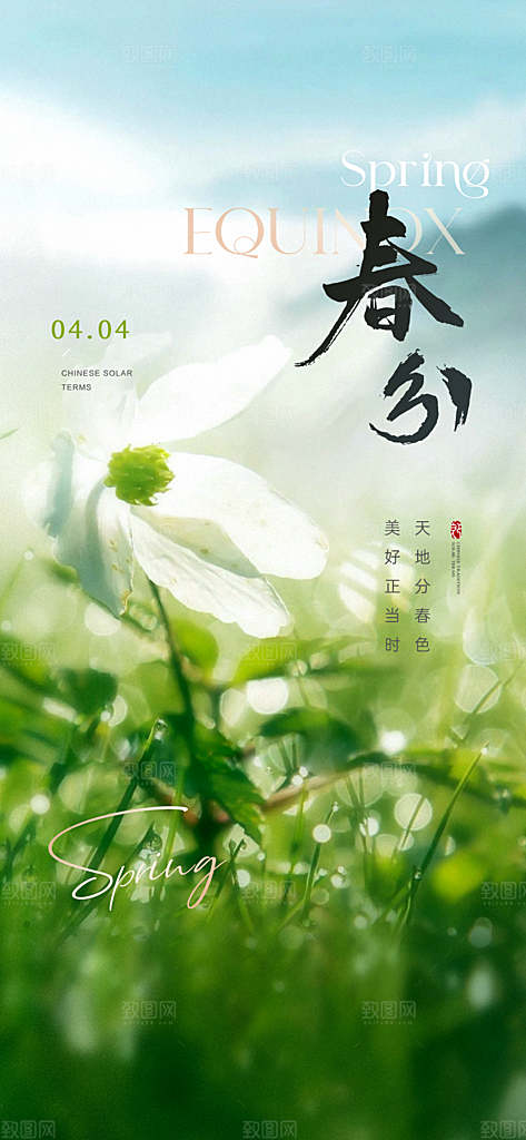 中国24节气清明节海报