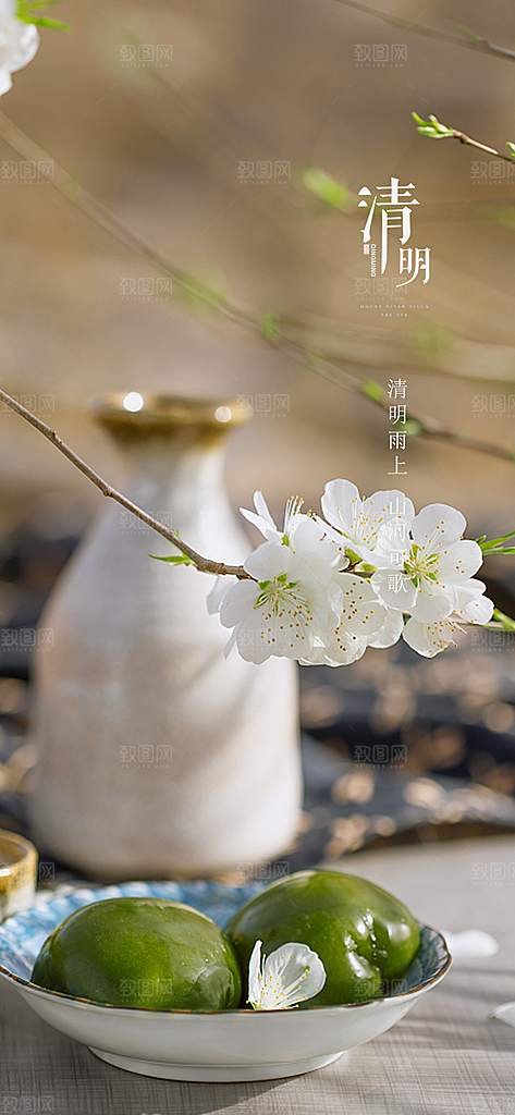 中国传统节气清明节海报