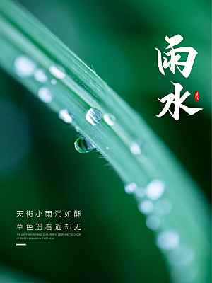 简约风传统二四节气之雨水节气海报