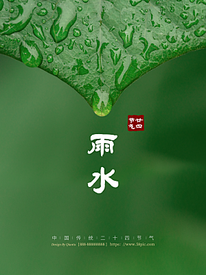 中国传统节气雨水系列海报设计