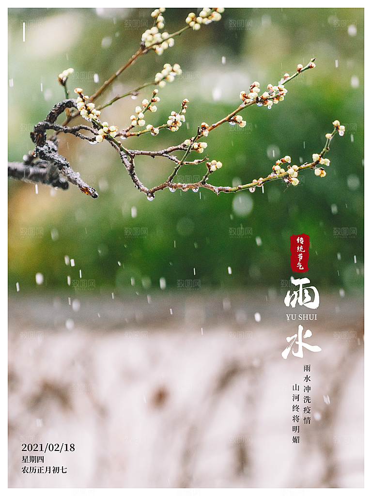 简约风传统二四节气之雨水节气海报