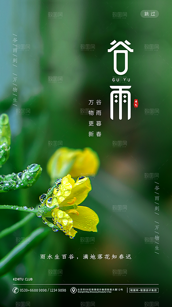 谷雨节气海报图片