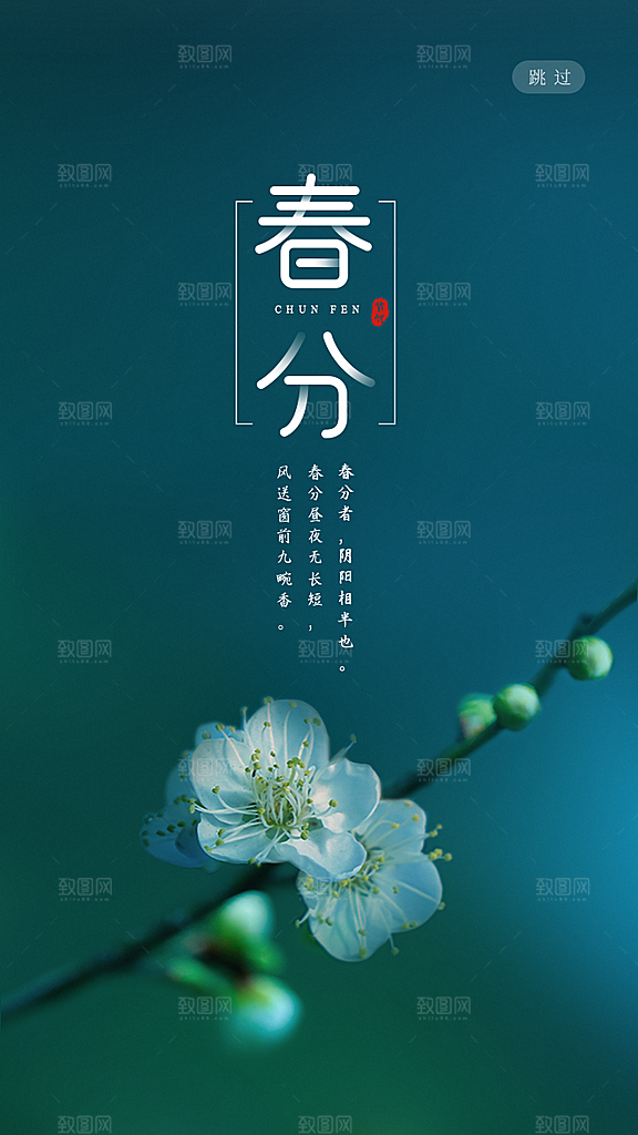 春分节气清新海报