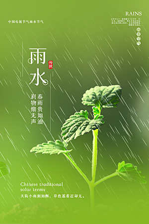 春季简约质感二十四节气雨水海报