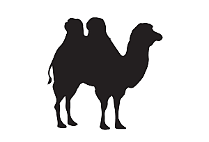 骆驼剪影黑白骆驼