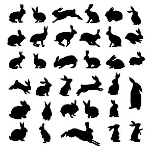 兔子剪影黑白兔子