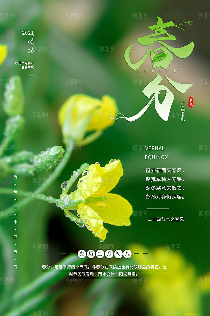 春分节气简约大气海报