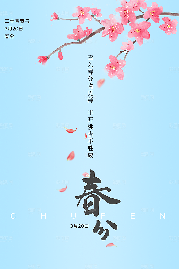 春分节气简约大气海报