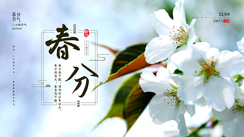 春分节气简约大气展板