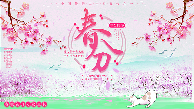 春分节气简约大气展板