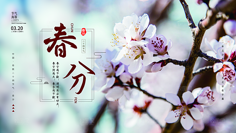 春分节气简约大气展板