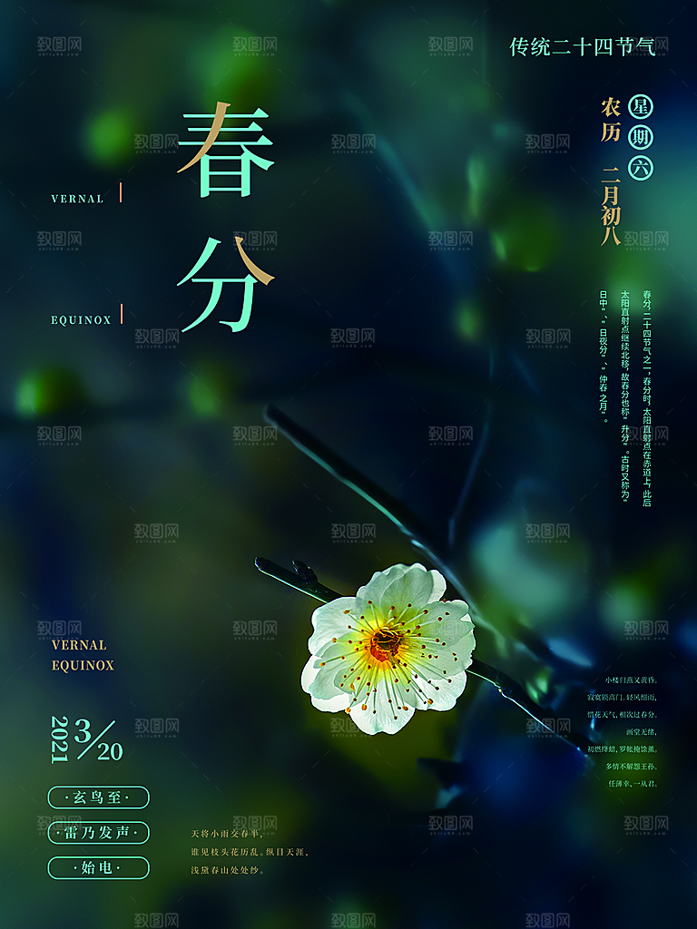 春分节气简约大气海报