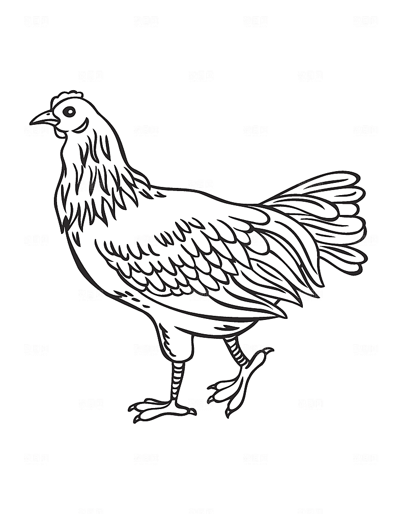 矢量卡通手绘小鸡素材