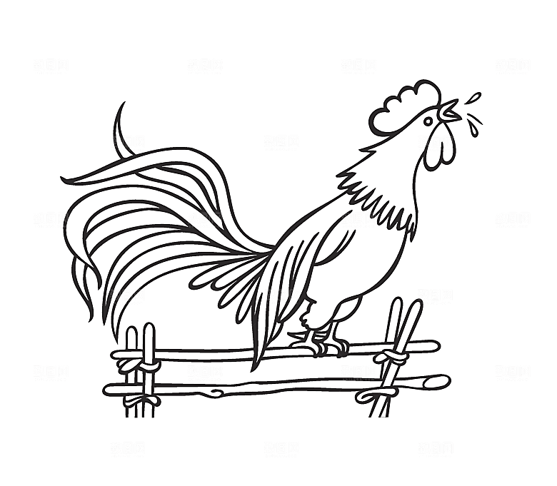 可爱大公鸡手绘素材