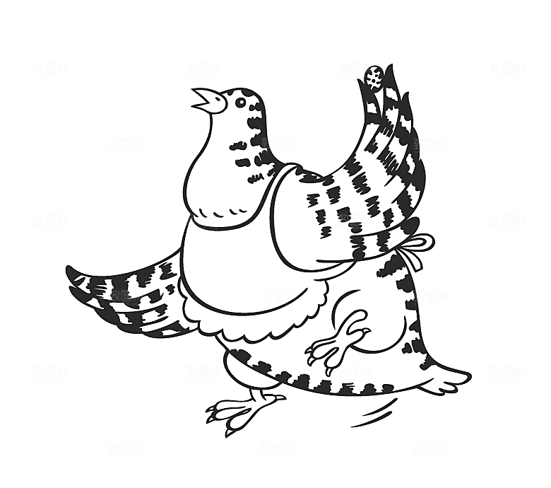 卡通手绘小海豹png