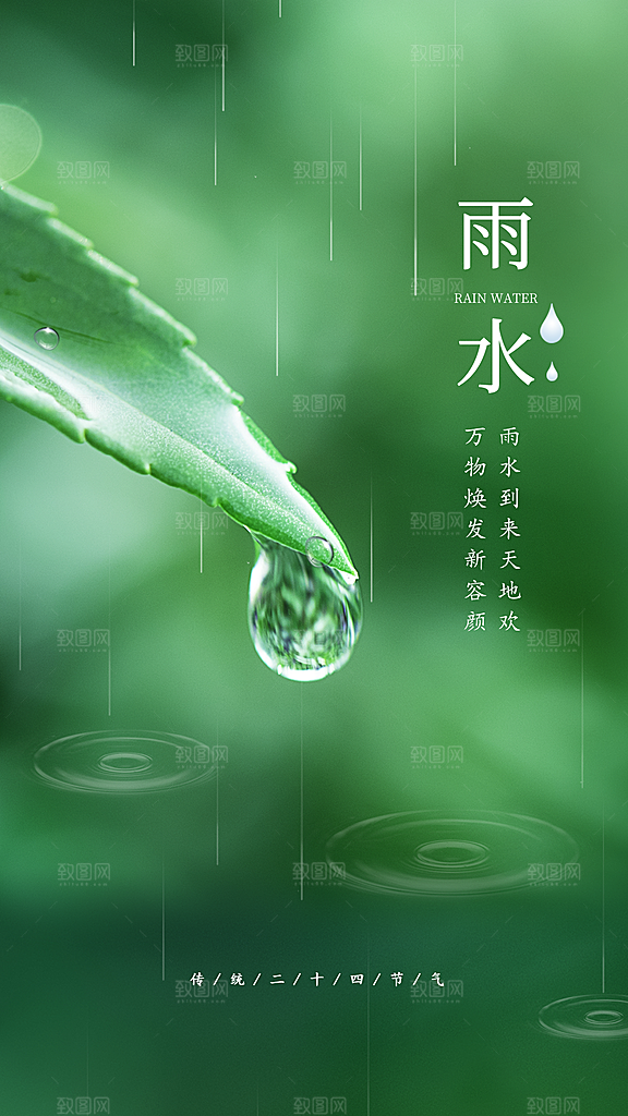 中国传统节气雨水系列海报设计