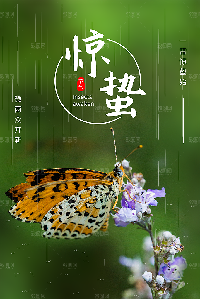 惊蛰节气宣传海报设计