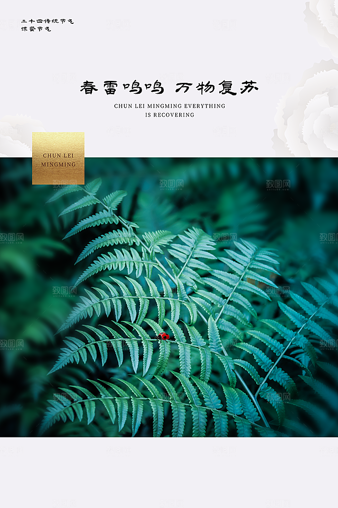 春季意境二十四节气惊蛰插画