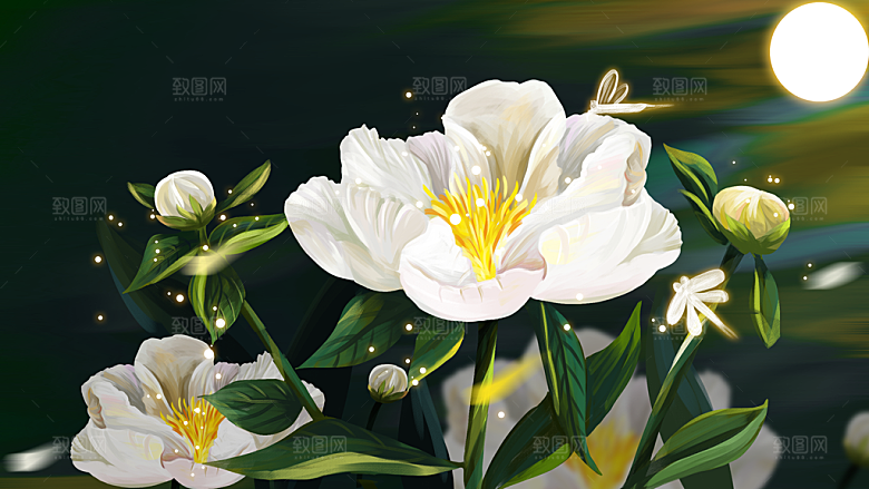 森系森林野外仙境插画海报风景
