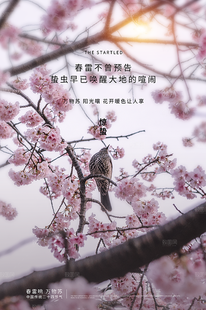 简约小清新唯美惊蛰海报