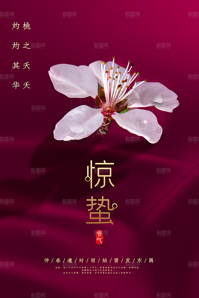 传统节日唯美中国风花鸟惊蛰海报