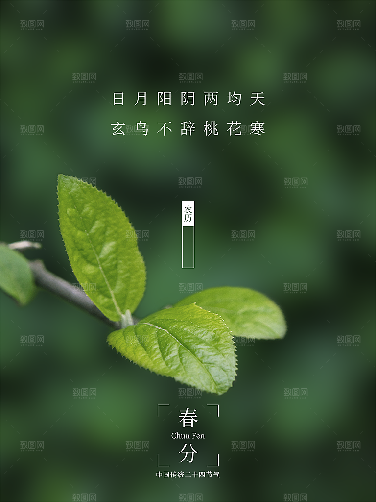 春分节气简约大气海报