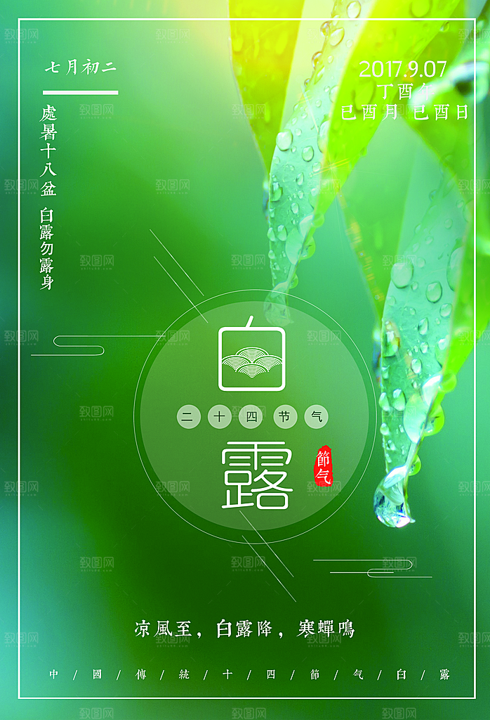 二十四节气白露海报