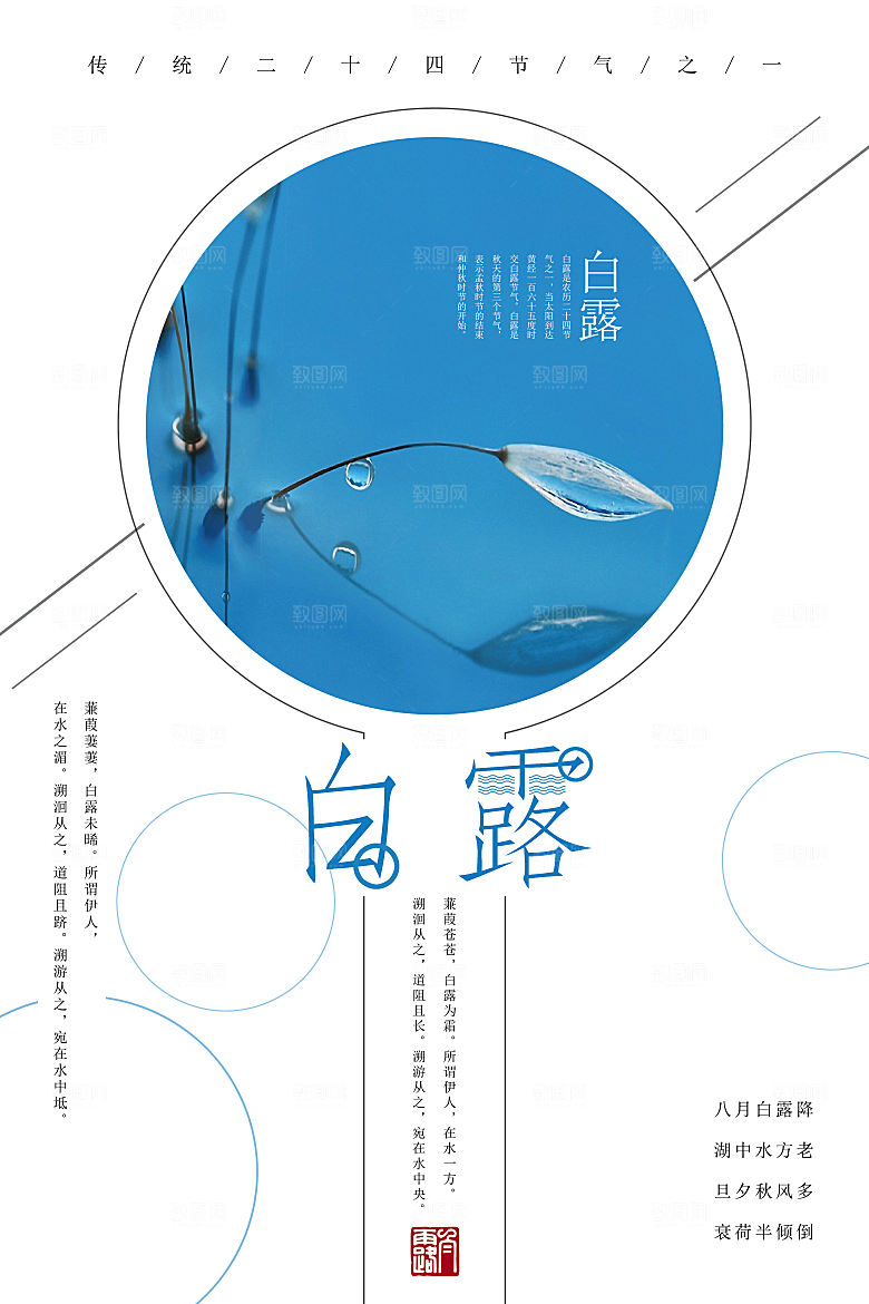 二十四节气白露海报