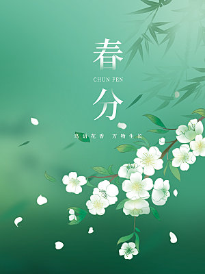 春分节气简约大气海报