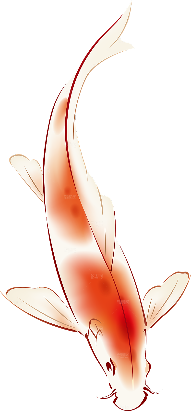 中国风手绘锦鲤鱼插画免抠PNG装饰设计
