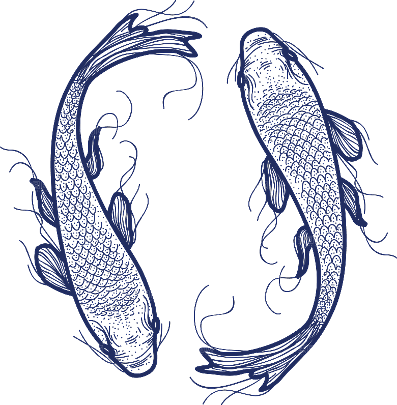 中国风手绘锦鲤鱼插画免抠PNG装饰素材
