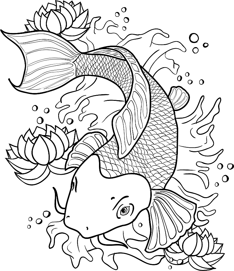 中国风手绘锦鲤鱼插画免抠PNG装饰素材