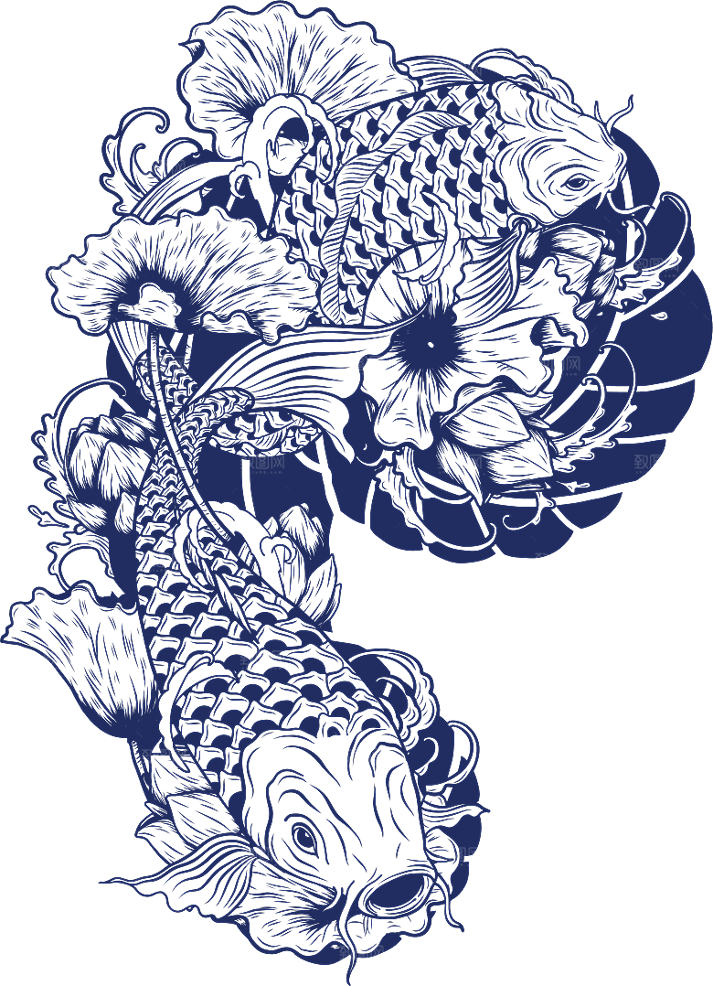 中国风手绘锦鲤鱼插画免抠PNG装饰素材