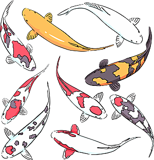 中国风手绘锦鲤鱼插画免抠PNG装饰素材