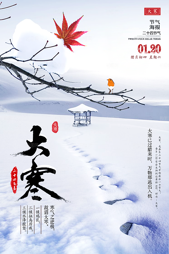 冬天大寒二十四节气海报