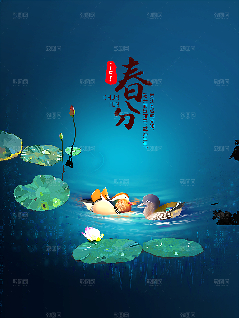 春分节气简约大气海报