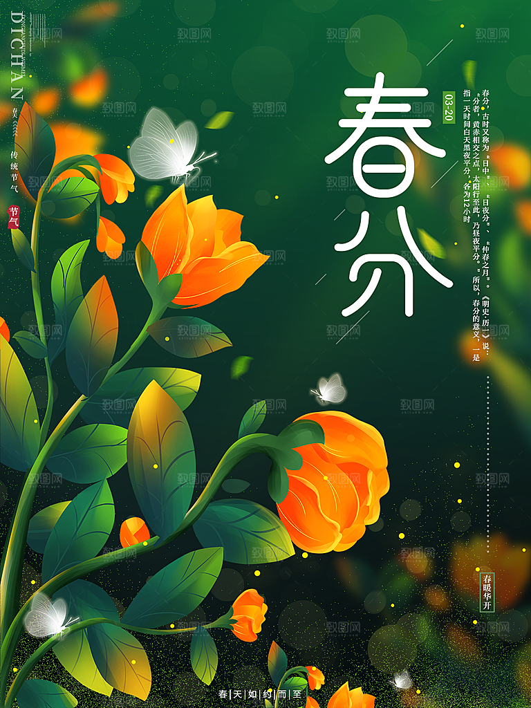 春分节气简约大气海报