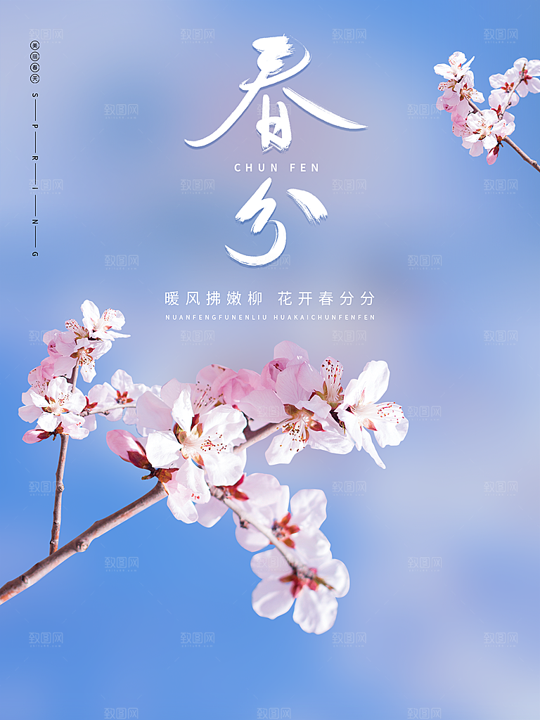 春分节气简约大气海报