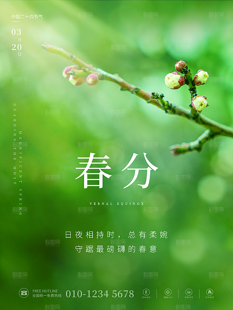 春分节气简约大气海报