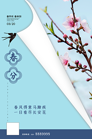 春分节气简约大气海报