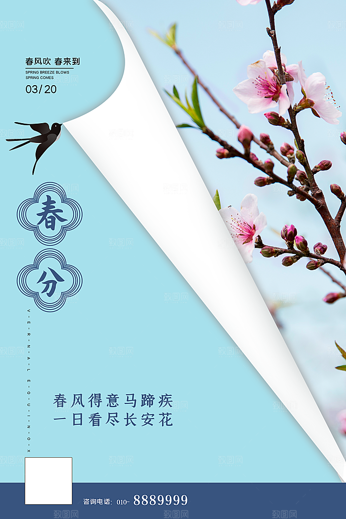 春分节气简约大气海报