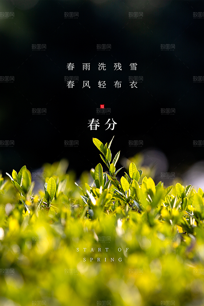 春分节气简约大气海报