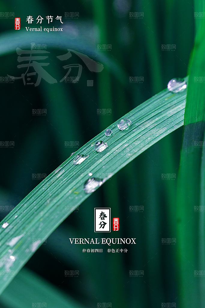 春分节气简约大气海报