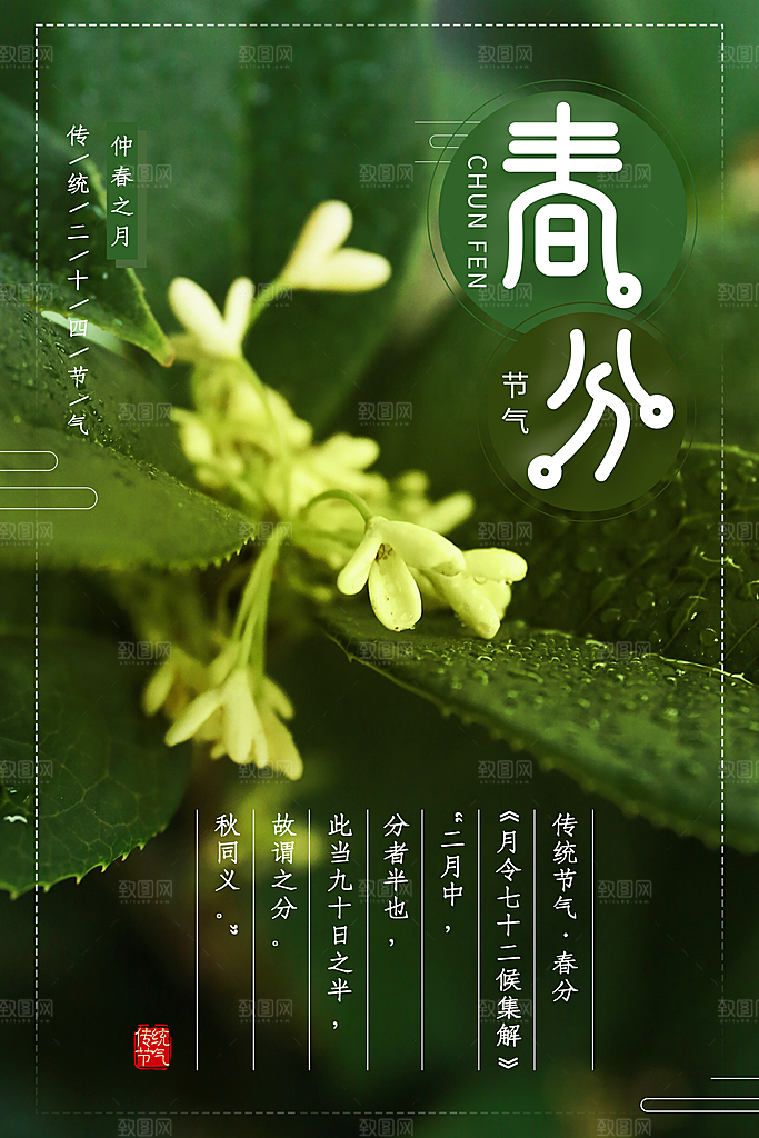 春分节气简约大气海报