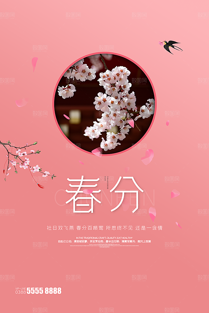 春分节气简约大气海报