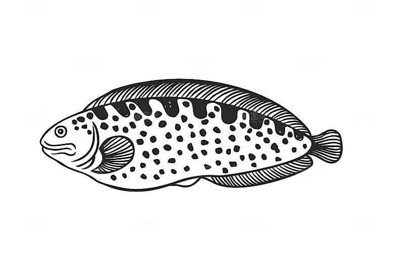 矢量卡通美食鱼类元素